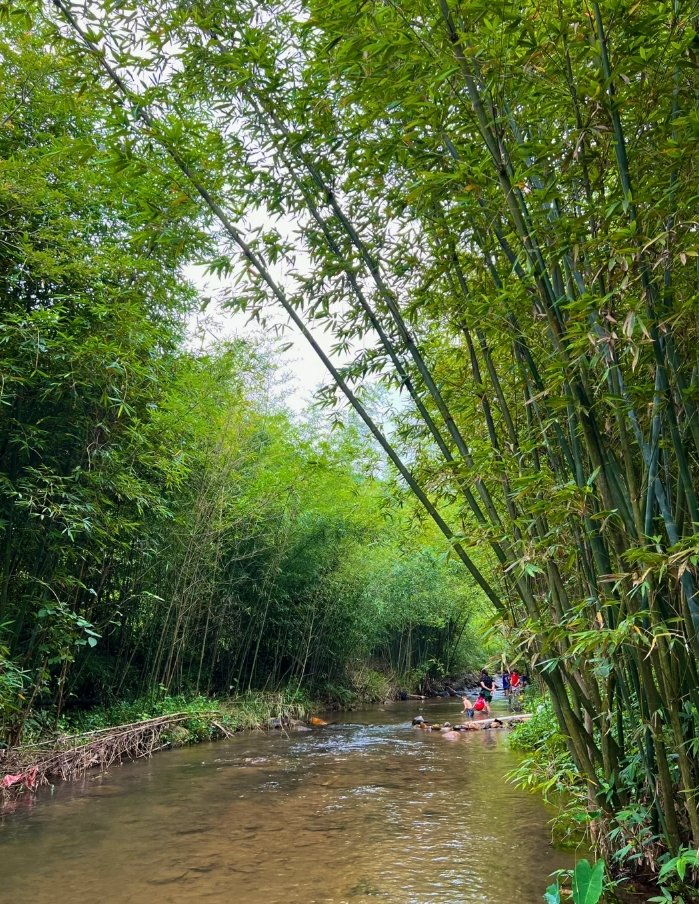 Hello Goodbye tweet media