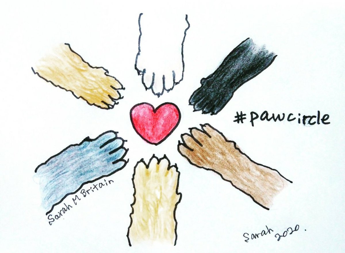 Sarah Britain, artist, loves dogs 🌱🐕🎄 tweet media