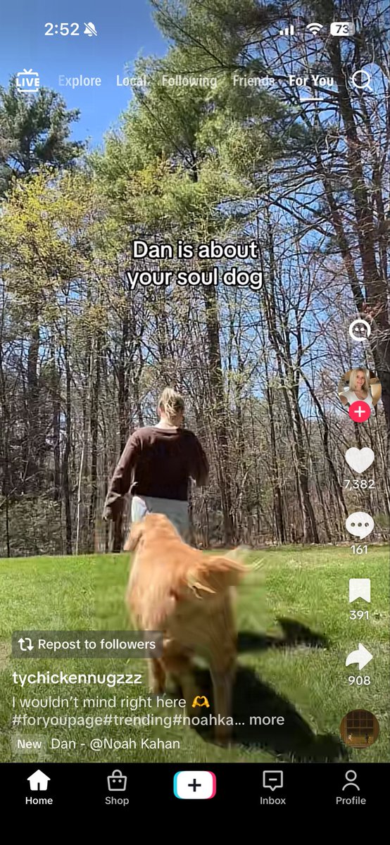 hayley ⸆⸉ the new romantic 🩵💚 tweet media