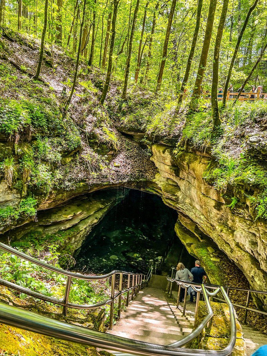 AngeliqueSwift tweet media