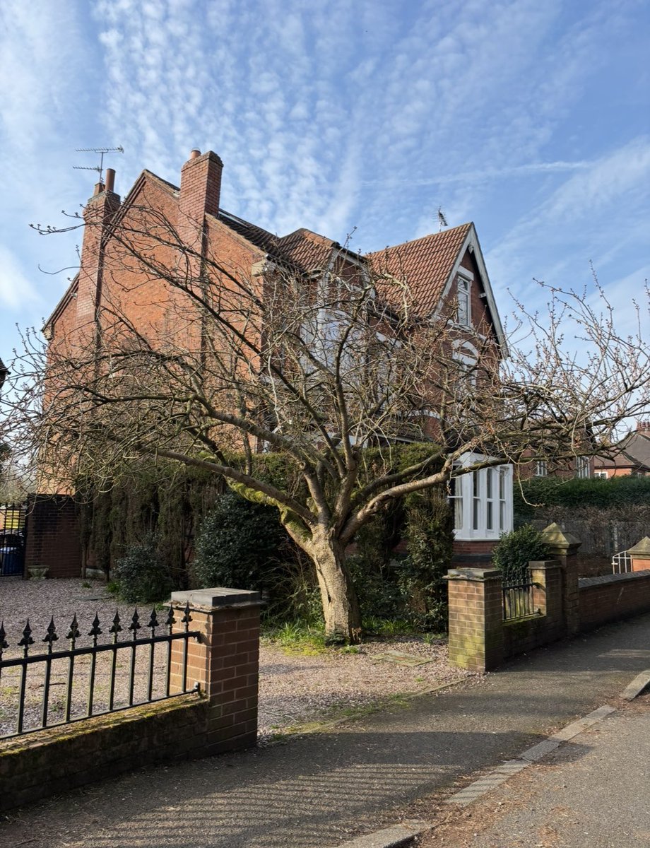 Osaretin Victor Asemota tweet media