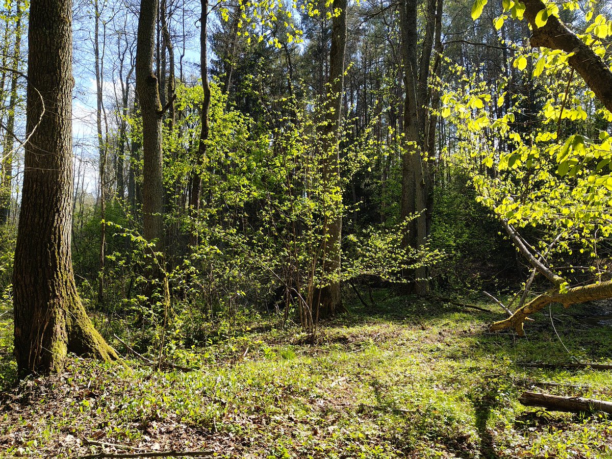 Magda Grzybiara tweet media