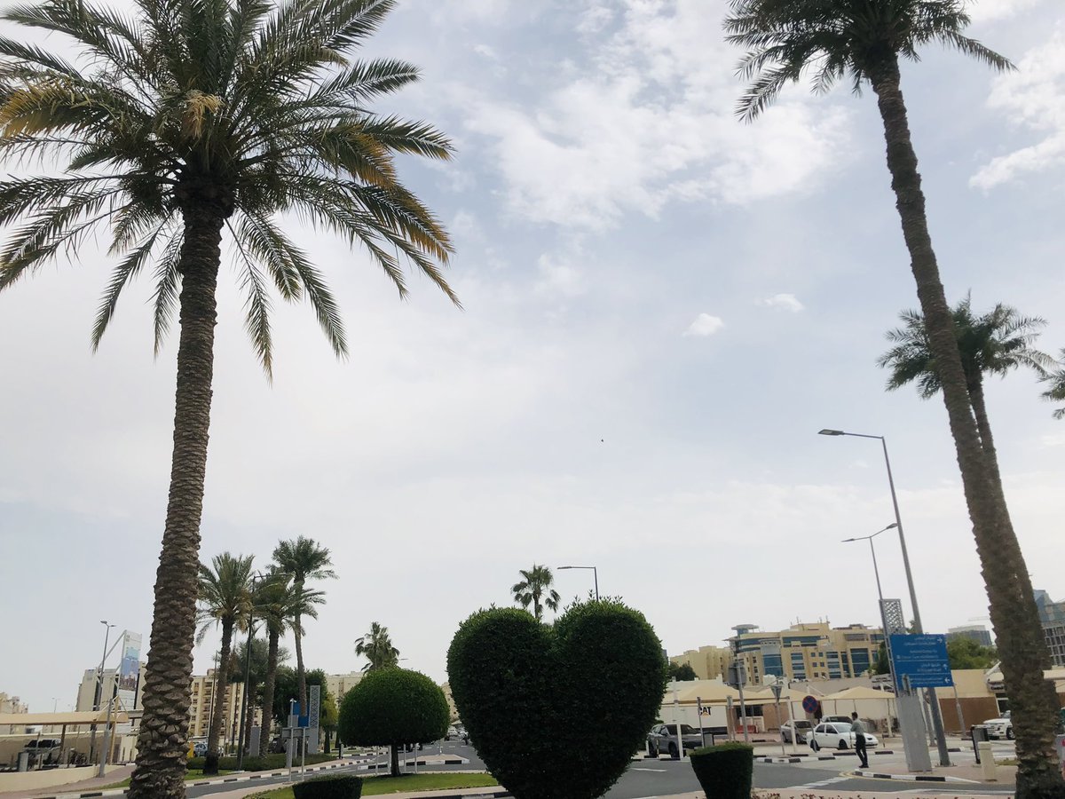 lavleeferlenssi's tweet image. Green heart 💚 #AtWork #WhenInDoha #WeekdaysInDoha 🍃 #SpringInDoha #GoodAfternoonDoha #WeatherInDoha 🌴
