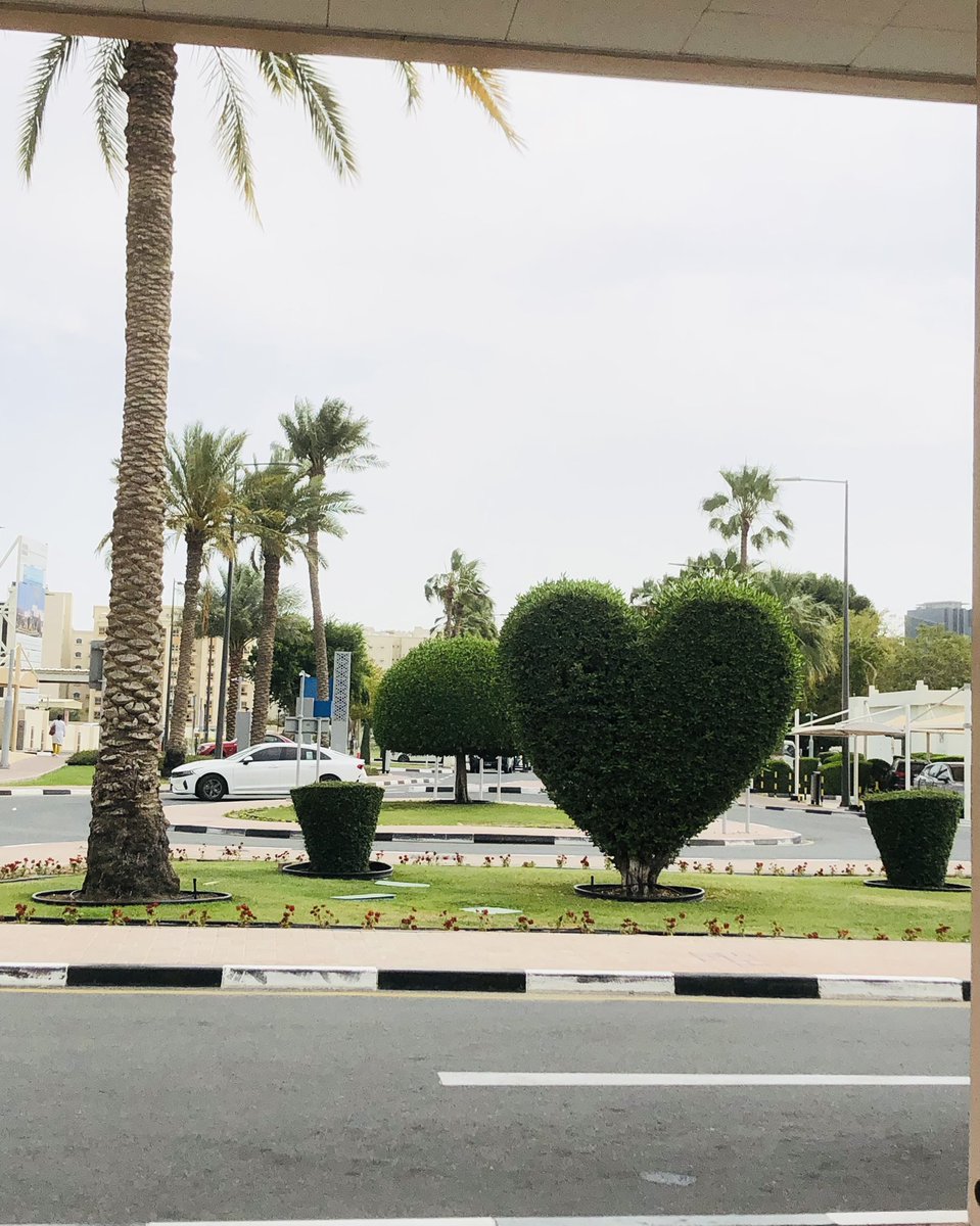 lavleeferlenssi's tweet image. Green heart 💚 #AtWork #WhenInDoha #WeekdaysInDoha 🍃 #SpringInDoha #GoodAfternoonDoha #WeatherInDoha 🌴
