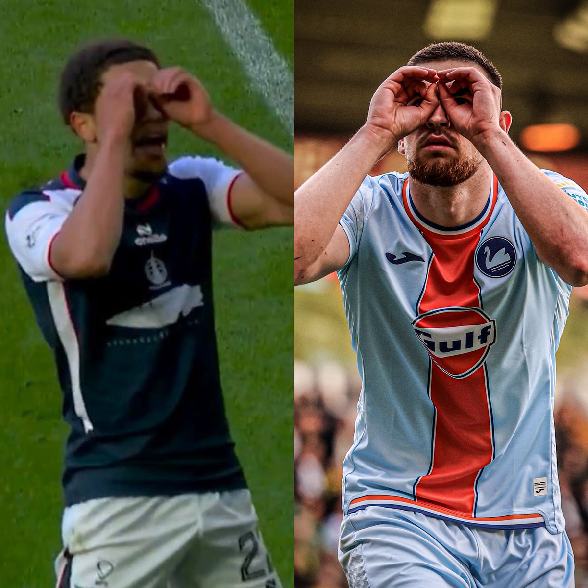 Only Swans tweet media