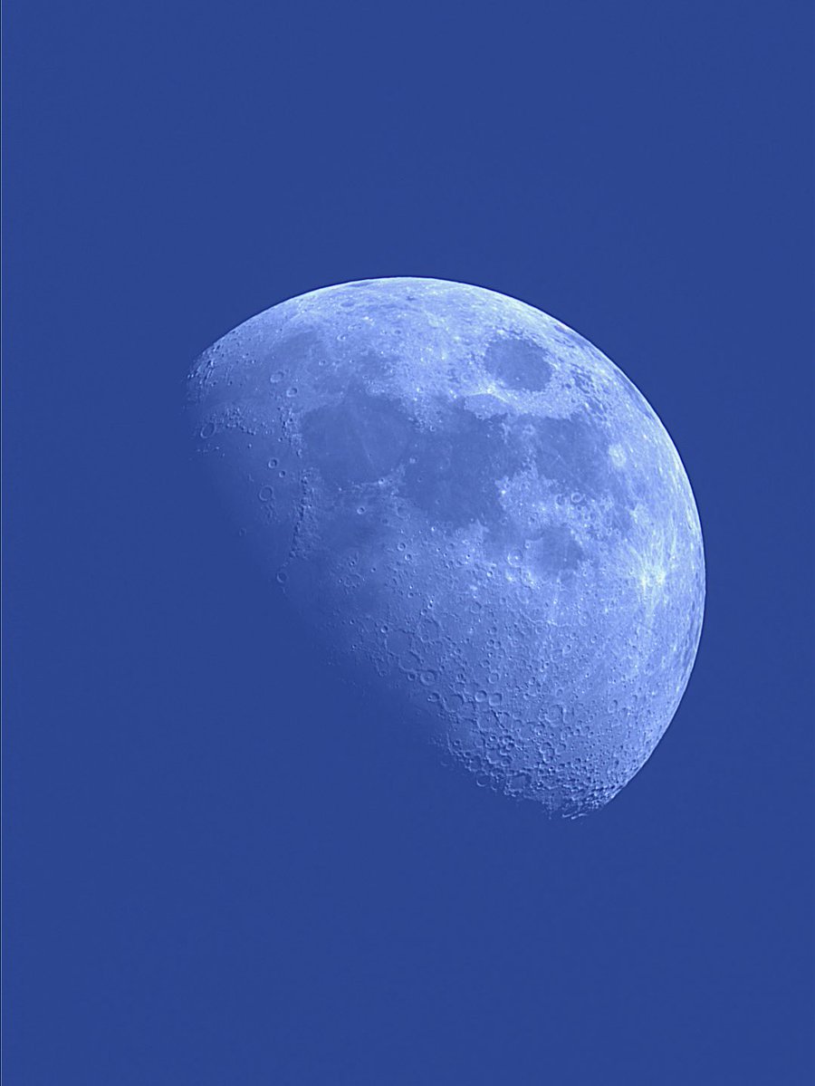 Rad van Mad tweet media