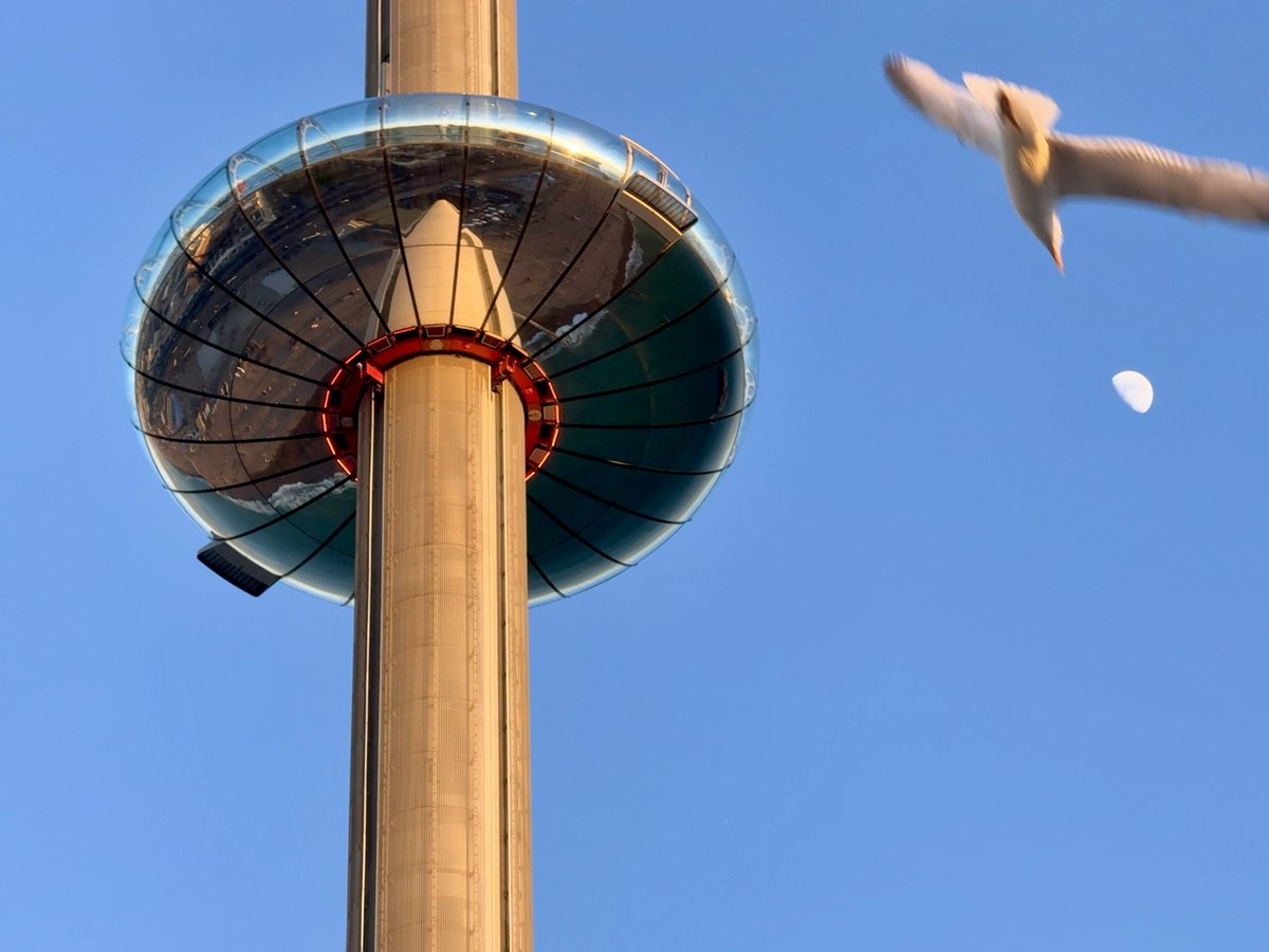 Steveontour2's tweet image. Back in #Brighton, with the sunset reflected in the i360 and the #UsualSeagull thinking the moons made out of cheese. @ThePhotoHour @StormHour