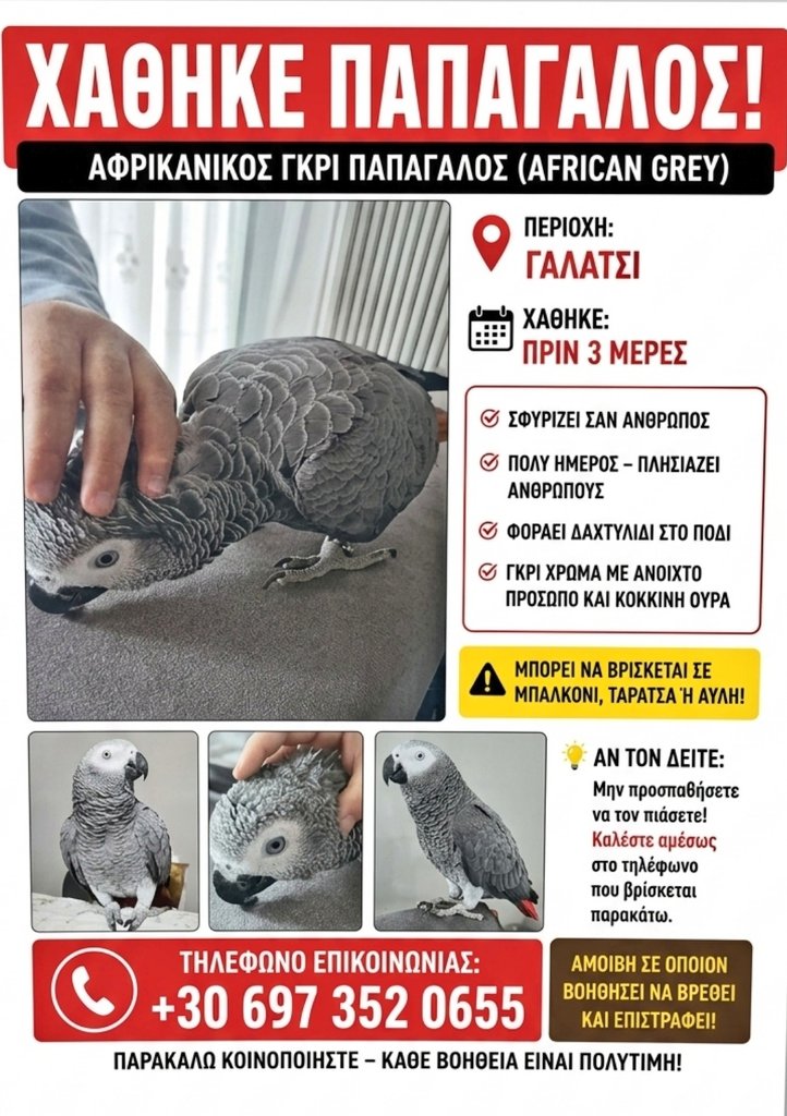 το γατί ^..^ ★ tweet media