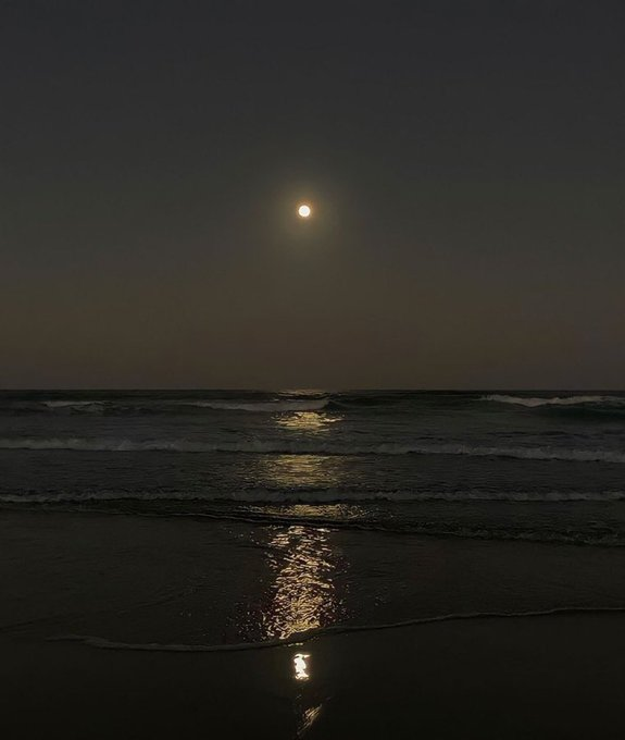 مُستثنى tweet media