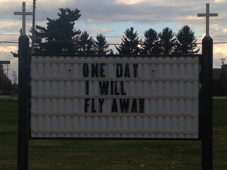 MythoAmerica 🌲 tweet media