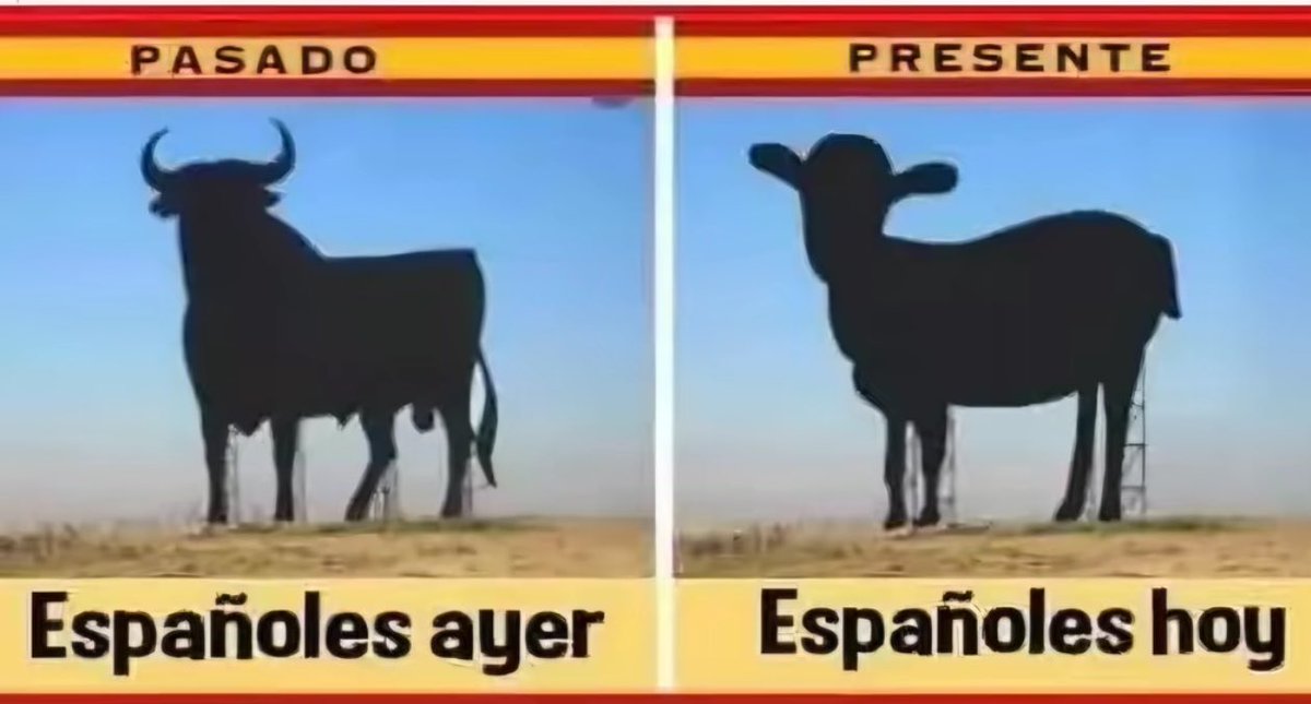 Muy.Mona/🇪🇸💚 tweet media