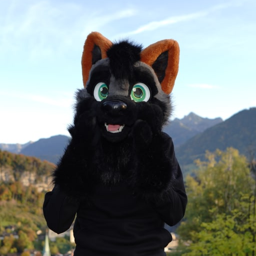 EddyFoxcrossfo1's tweet photo. 1000 followers? Wow, thank you!
#Fursuit #Furry #FurryCommunity #FursuitFriday #Fox #Crossfox #partial https://t.co/YSck7KGekV