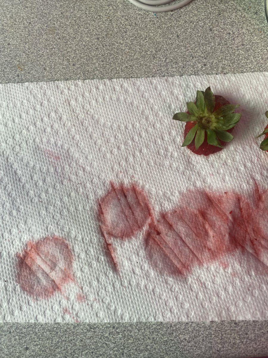 rottenwithlies's tweet image. Why r my strawberrys cutspo?.. #shedtwt #shed