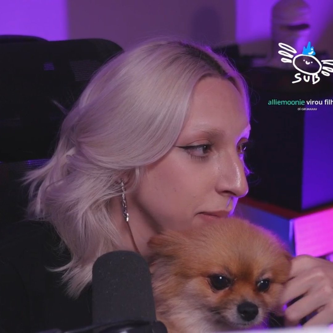 🕊️ | tweet media