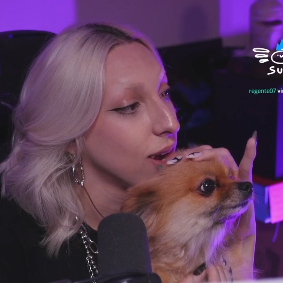 🕊️ | tweet media