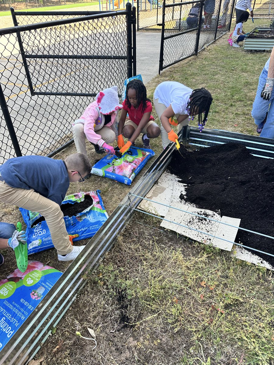 MsSabers's tweet photo. We had an excellent Planting Hawks garden club meeting this week. We filled more beds, watered our plants, and made clay seed bombs. @IsonSpringsES @AderoCarter @alexbatesedu https://t.co/ARXxGTu9ua