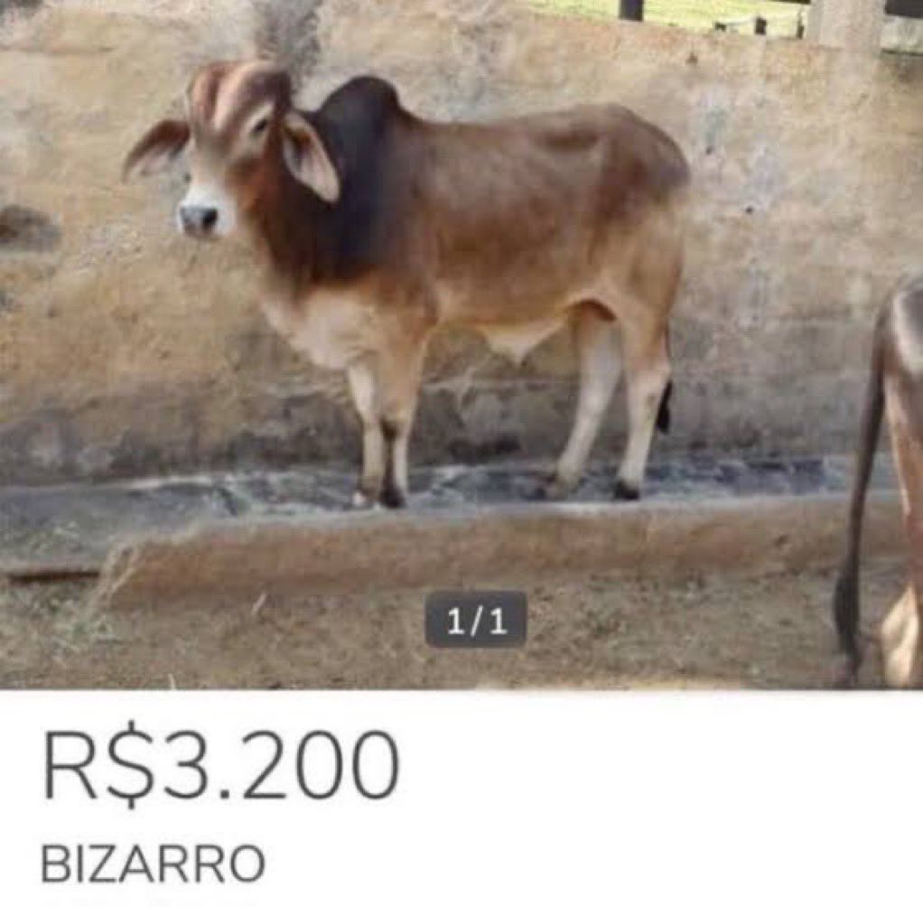 Sparkle ✨ tweet media