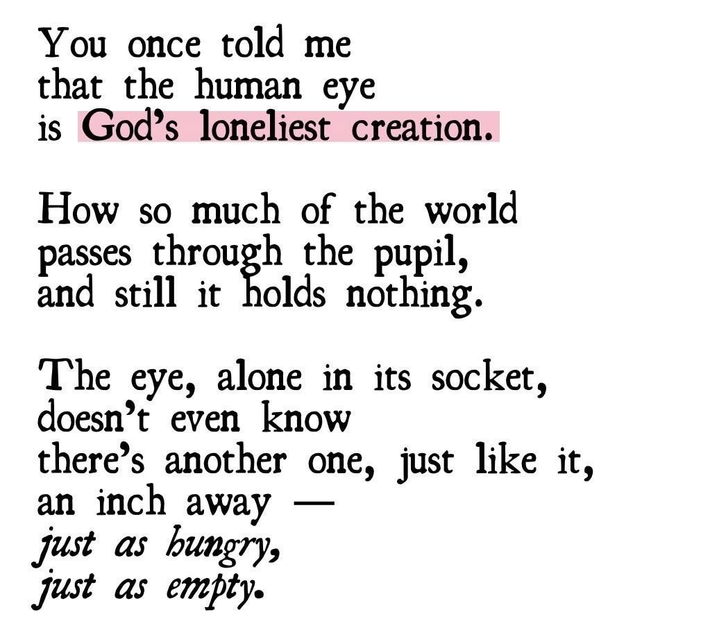 شروق tweet media