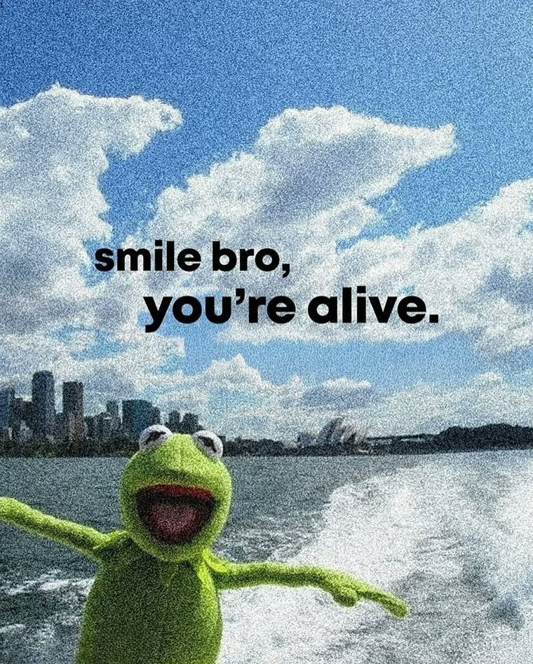 ♬Dem_Olex♬ tweet media