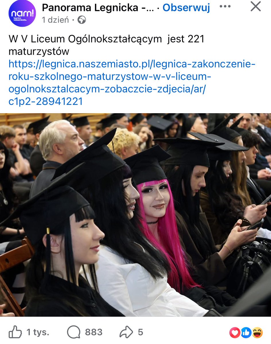 menelf 🦇 tweet media