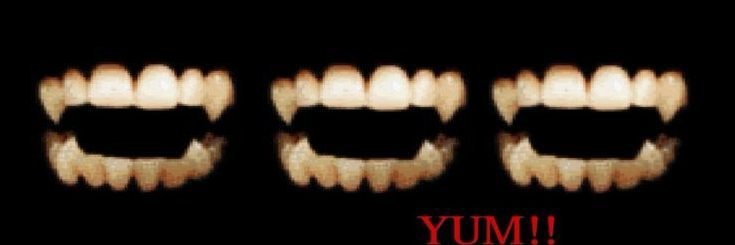 𓏲𝄢 tweet media