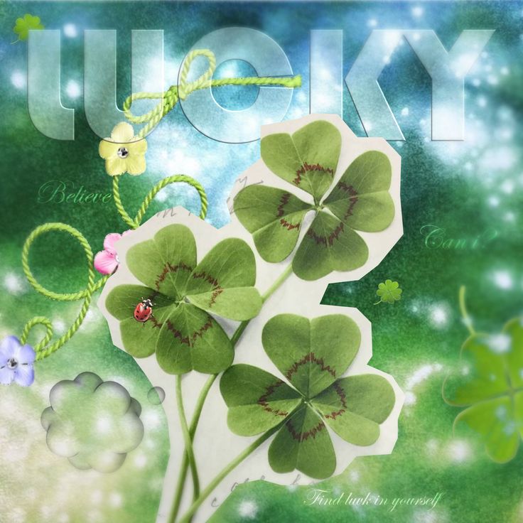 ꒰ 𝘃𝗶𝗿𝗮𝗮 ꒱ 𝗻𝗼 𝘁𝗿𝗮𝗴𝗲𝗱𝘆 .ᐟ tweet media