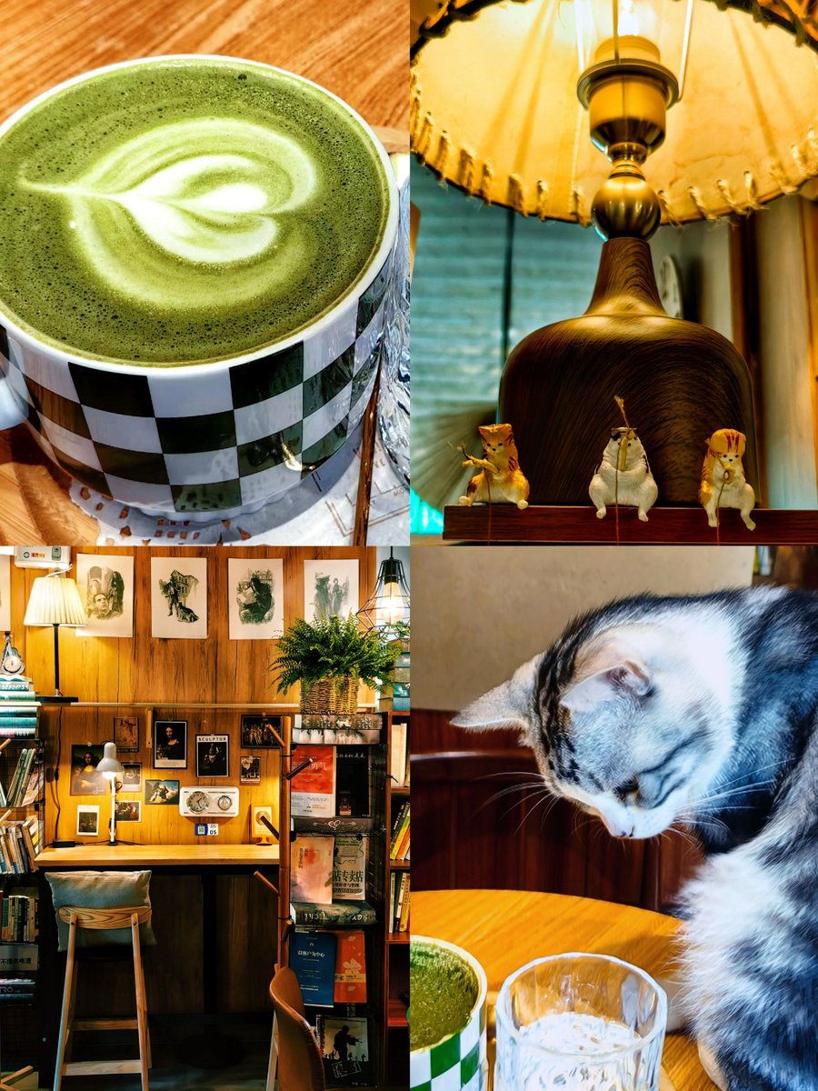 Diane Cochrane tweet media