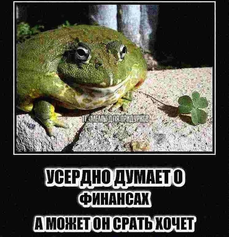 интерактив: первая картинка в Pinterest покажет вам ваш внутренний вайб, а вторая то, вы как воспринимаетесь людьми

Бляя сейчас я усердно думаю о финансах постоянно (не о своих к сожалению🥲) даже когда хочу срать, потому что мой диплом об инфраструктурном финасировании