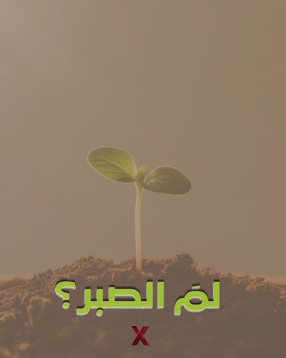 مُبـادرة X لـغـم التوعوية tweet media