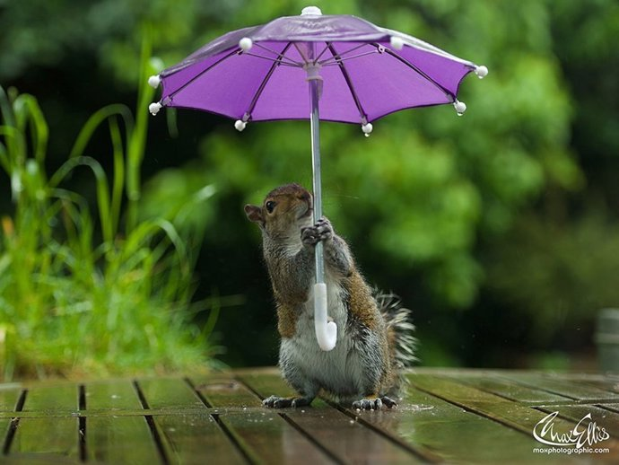 El Gen Martínez 🎷🐿️ 🎷🐿️🎷🐿️🎷🐿️🎷🐿️🎷🐿️ tweet media