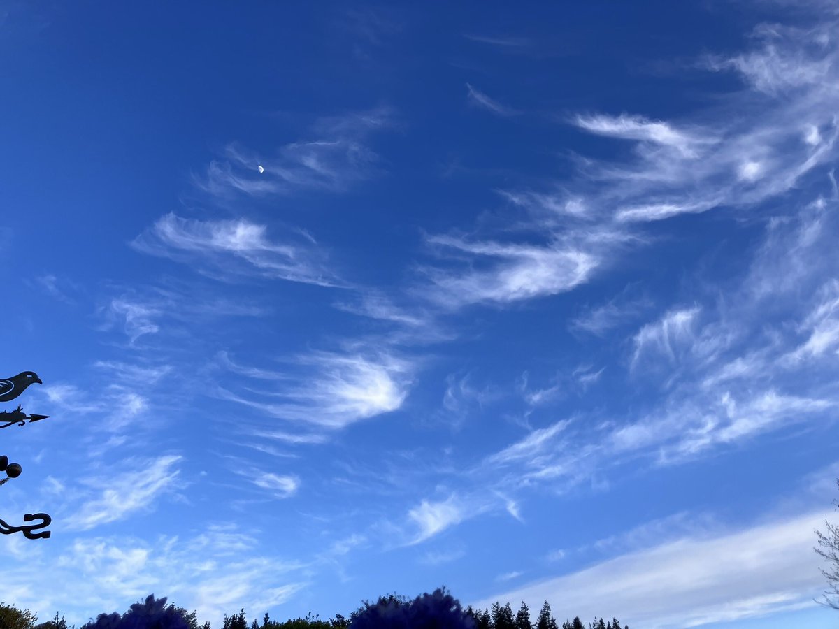 cloudymamma's tweet image. A Host of Angels … 👼 are my evening fly by 

Inverness

#LoveUkWeather @CloudAppSoc #clouds