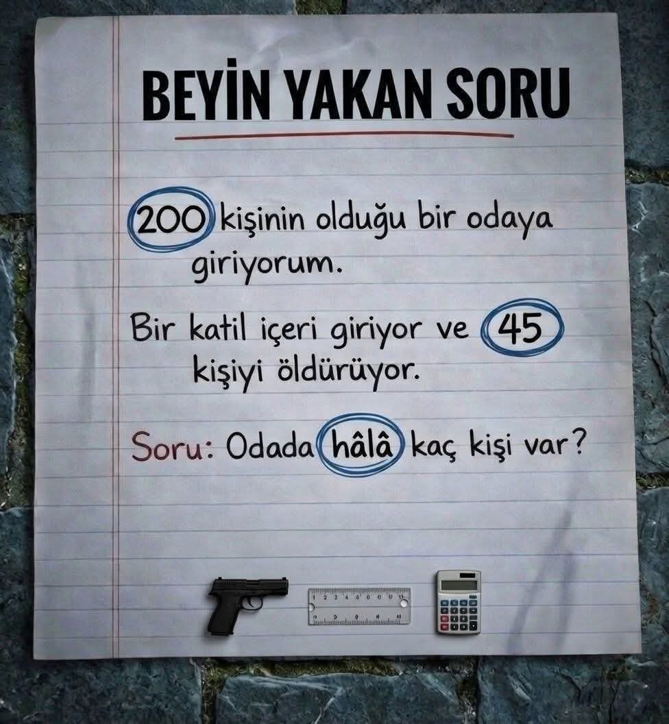 Gökçe Özcan tweet media