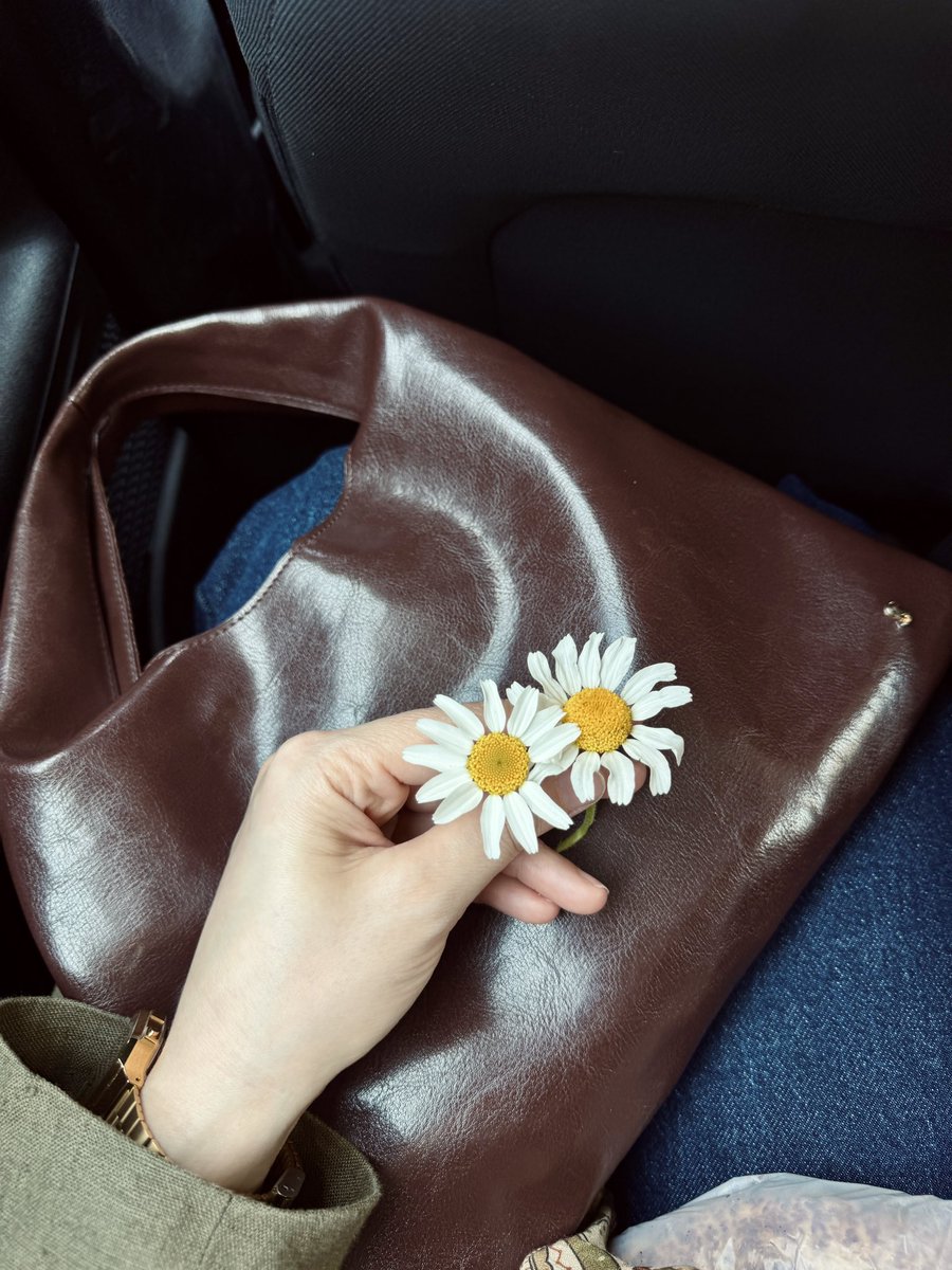 clkseydaa's tweet photo. 🌼 https://t.co/99Dhc1Xjln