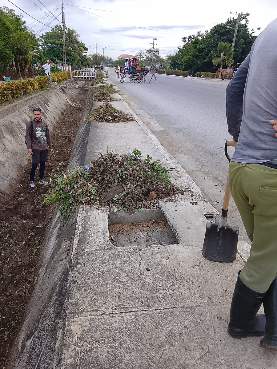 Acometen las Direcciones Municipales de Comunales, Comercio, Deportes, Vivienda y Transporte,labores de saneamiento en el canal de desagüe del vial carretera central en Consejo Popular Calixto, dedicado al 1ro de Mayo.
#CubaViveYTrabaja 
#Majibacoa
#1roDeMayo