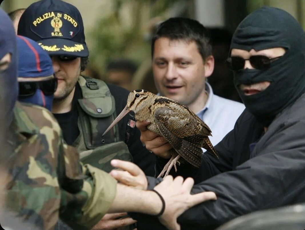 Deve solo rispondere a qualche domanda, non creiamo un polverone