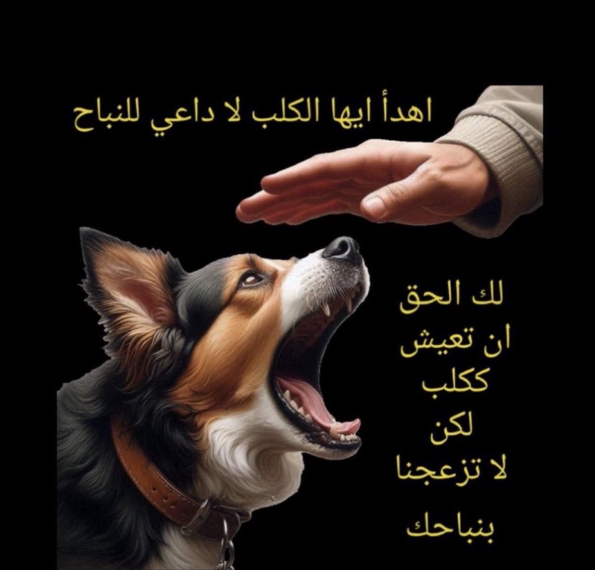 فهد العمير tweet media