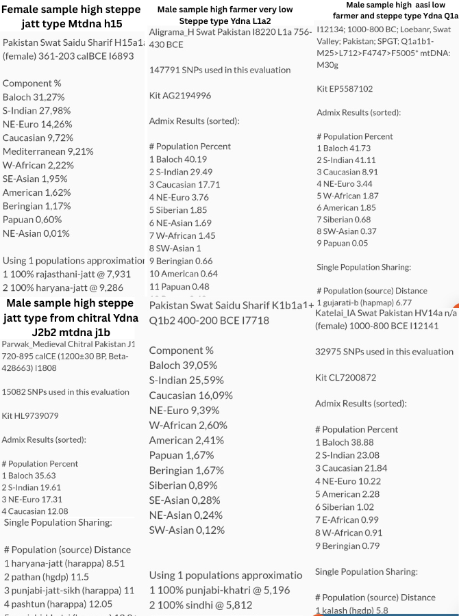 Sudodudo tweet media