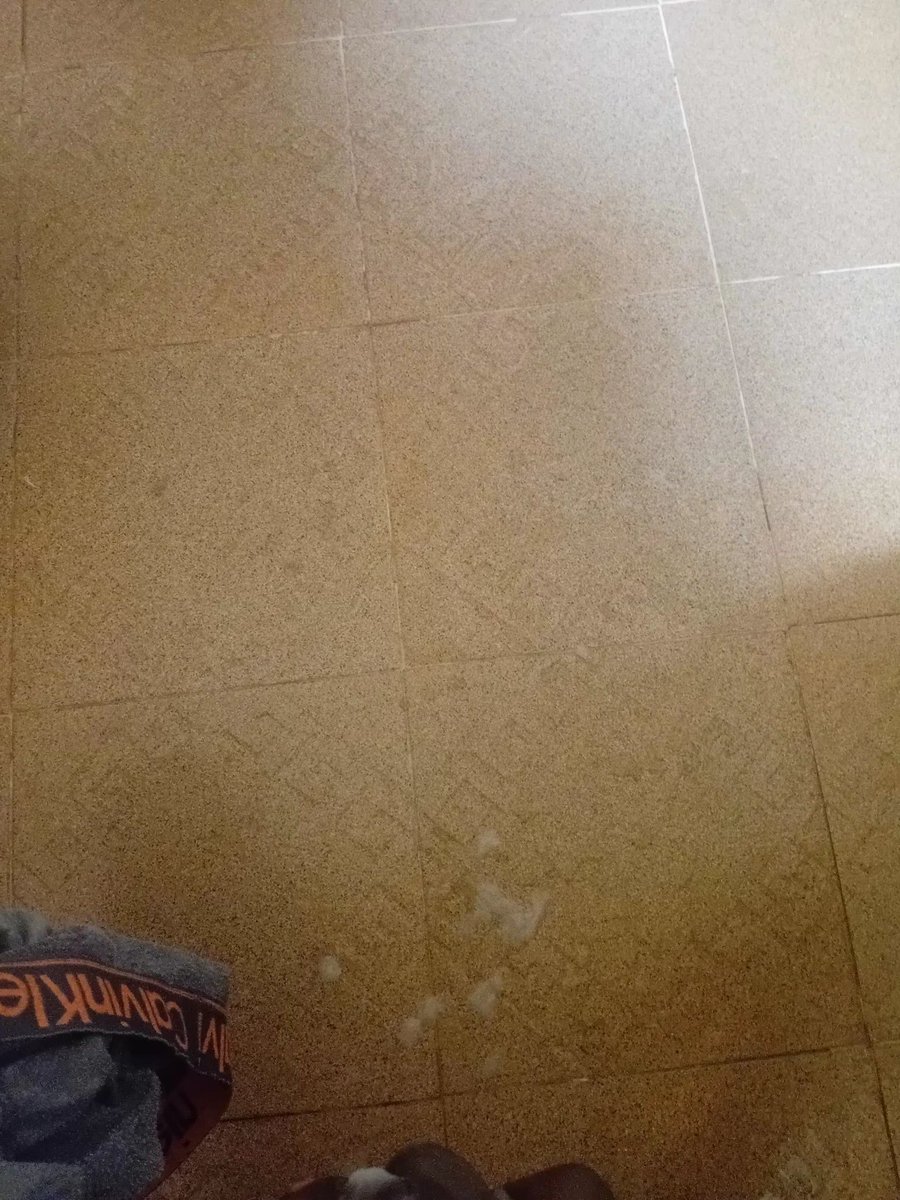 𝐒𝐦𝐚𝐥𝐥 𝐑𝐚𝐥𝐩𝐡👨‍🍳✯ tweet media