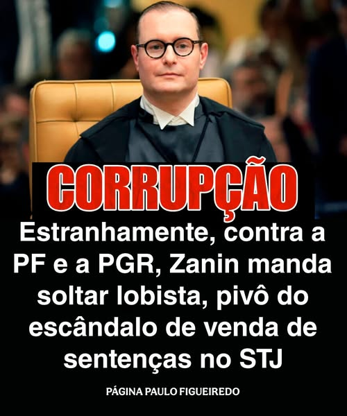 🇧🇷Zelia Fabro22🇧🇷 tweet media