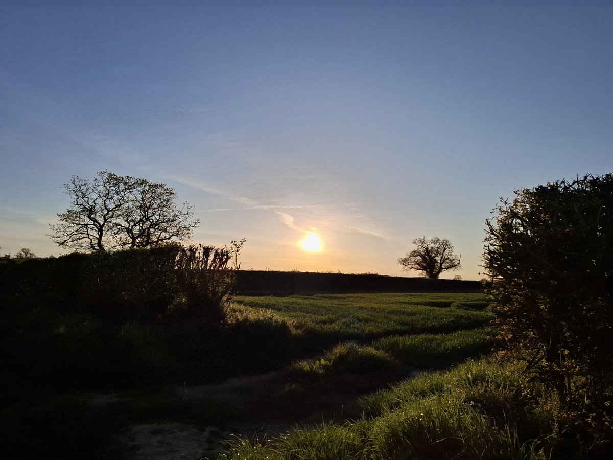 LisaMWilde's tweet image. Another lovely evening for a walk. #Shropshire #loveukweather #DailyWalk #DailySteps