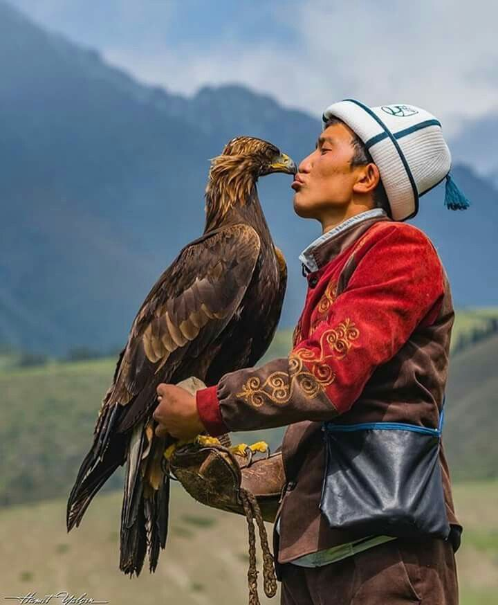 huseynoglu1's tweet photo. Turkiye: Kartal
Azerbaijan: Qartal
Turkmen: Gartal, Bürgüt
Kazakh: Bürküt
Kyrgyz: Bürküt
Uzbek: Burgut
Uyghur: Bürküt
Tatar: Börket
Nogai: Bürküt
Altai: Mürküt
Khakas: Xara Xus
Tuva: Ezir
Sakha: Khotoy
#Kazakh #Turk #Kyrgyz #Turkiye #Nogai #Turkic https://t.co/B6CxWoS73v