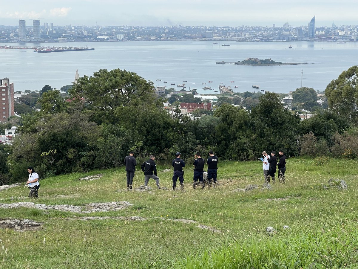 Guille Losa tweet media