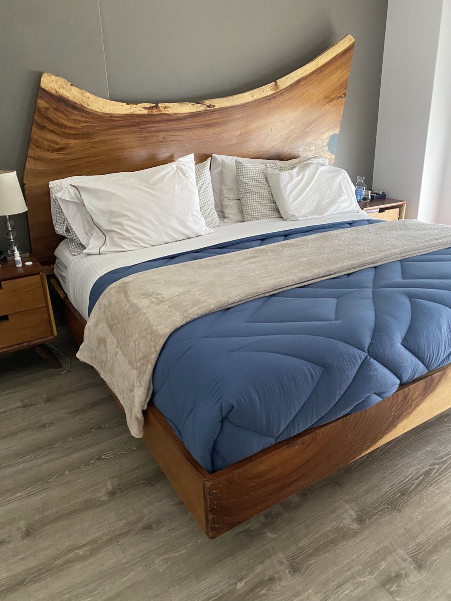 La señora Stewart tweet media