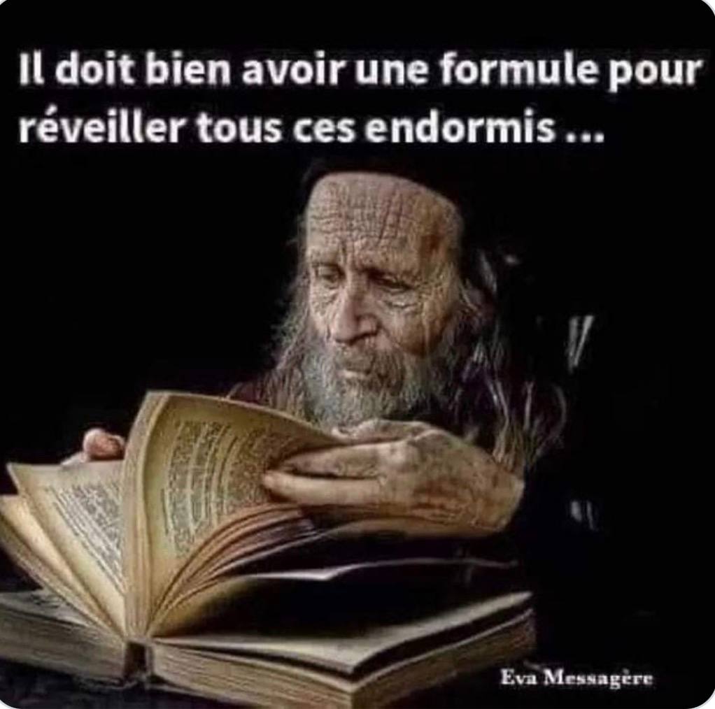 Ni Oubli Ni Pardon tweet media