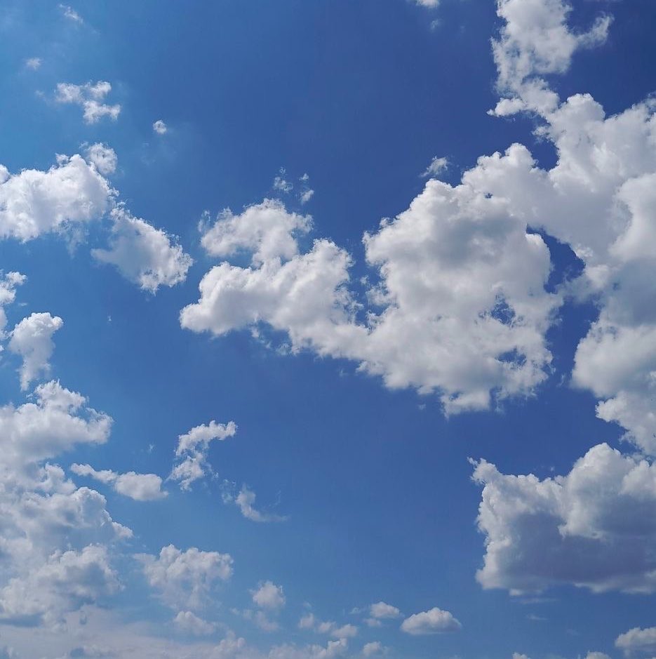 wheezy wheeler‎ .✦ ݁˖ tweet media