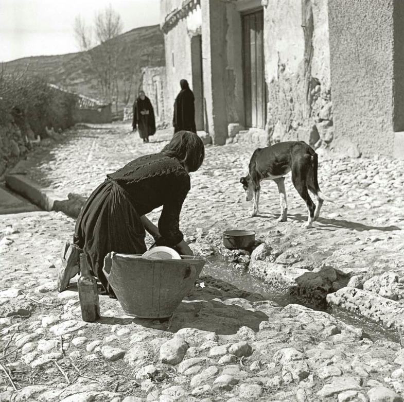 Arturo del Pino Ruiz 🏛️ 🌵🌞💚 tweet media