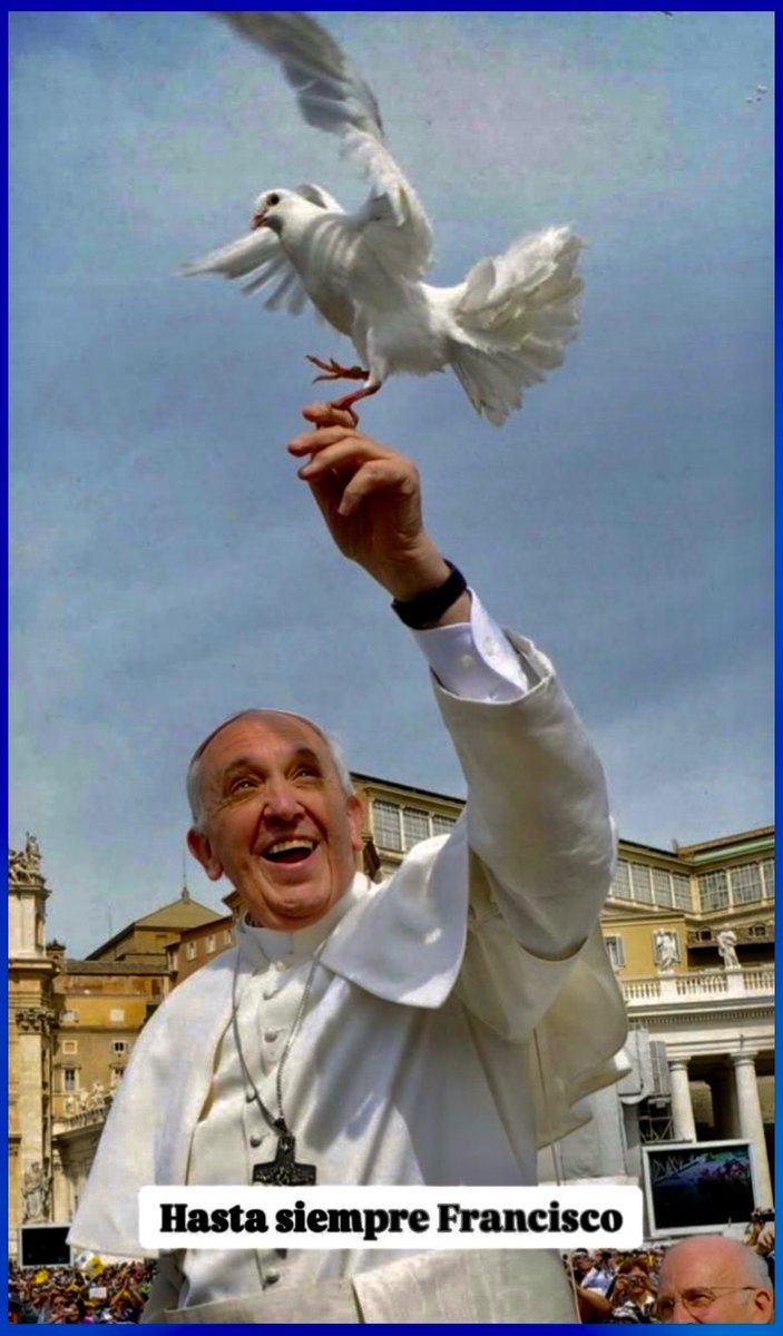 bestgsquared's tweet image. See what I mean?

.@ericripert 
.@chefjoseandres 
.@Pontifex_fr 
.@Pontifex 
.@Pontifex_es 
.@ChristopherHale 
.@catholicourtney 
.@bettapique 

#PopeFrancis
#StFrancis

I AM #JESUITEDUCATED🕊️

🐇EL CONEJO ESPAÑOL🐇