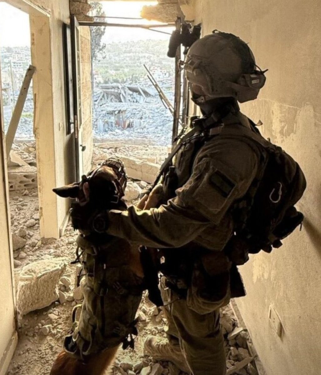 YosephHaddad's tweet image. במהלך סוף השבוע כוח של צה"ל ביצע סריקות בבינת ג'ביל כאשר לאחד הבניינים נשלחה הכלבה ברני לסריקה לפני שהכוח ייכנס. שם היא זיהתה מחבלי חיזבאללה שרצחו אותה. בעקבות כך כוחות צה"ל חיסלו את ששת המחבלים ללא נפגעים בקרב החיילים.
הכל בזכות הכלבה ברני.
כלבת עוקץ שסייעה לכוחות צה"ל מתחילת