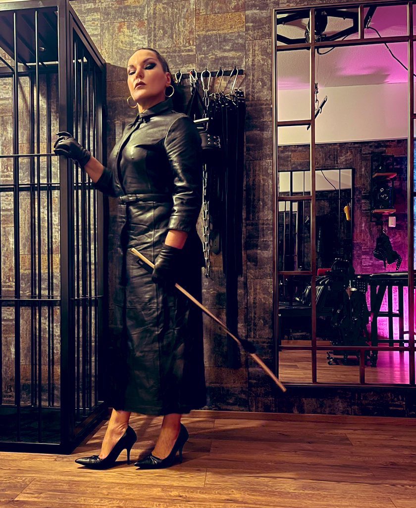 FemdomWorldNew tweet media