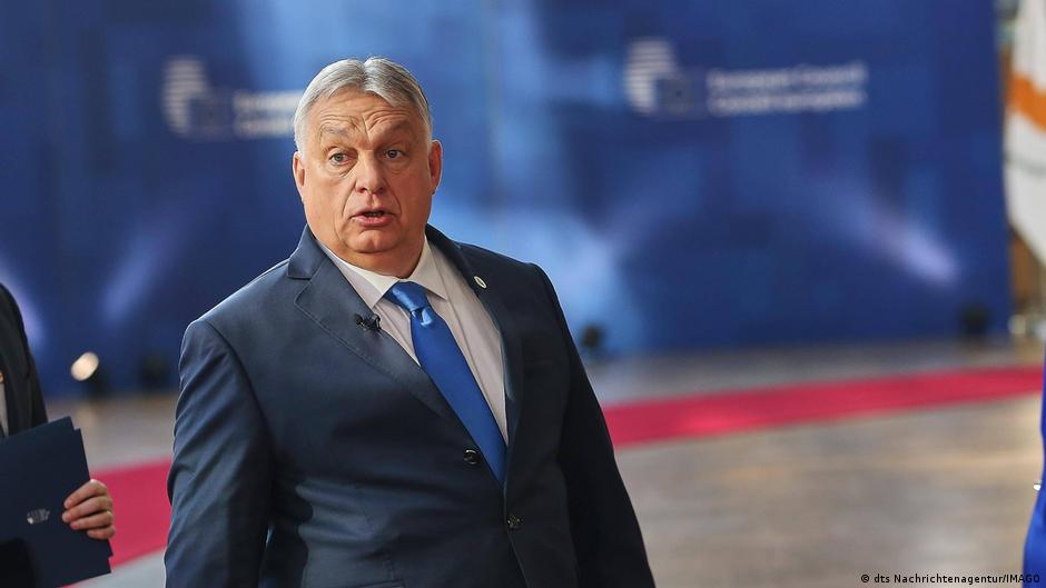 DW на русском tweet media